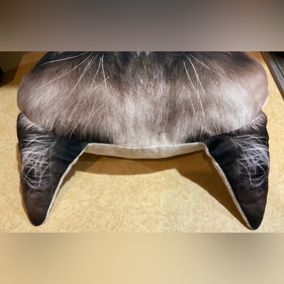 Jakks: Grumpy Cat about 18 “ inches wide n 13 “ inches tall decorative pillow - Picture 4 of 6